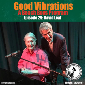 Good Vibrations: Episode 29 — David Leaf