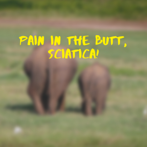 Pain in the Butt, Sciatica!