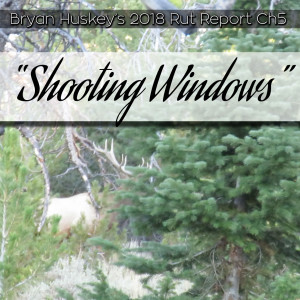 #14 2018 Elk Ch 5 ”Shooting Windows”