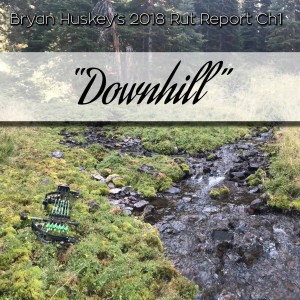 #10 2018 Elk Ch1 ”Downhill”