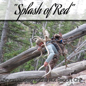 #16 2018 Elk Ch 7 "Splash of Red"
