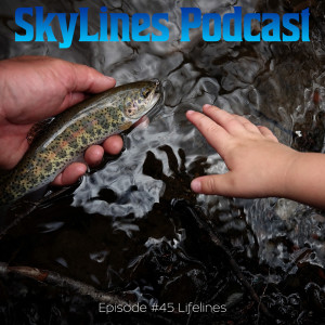 Episode #45 Lifelines