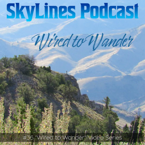 #36 Introduction to "Wired to Wander"