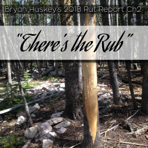 #11 2018 Elk Ch2 ”There’s the Rub”