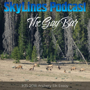 #35 2016 Archery Elk ”The Gay Bar”