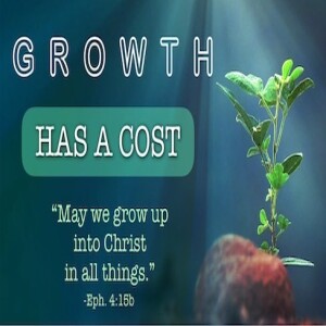 "Did You Know That GROWTH Has A Cost?" - Insights to Freedom – Closing Prophetic Insight