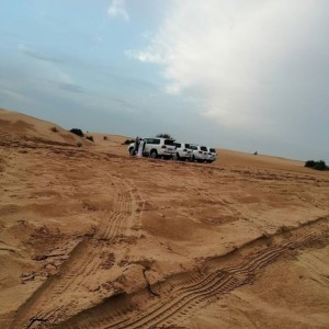 What to Expect from Abu Dhabi Desert Safari?!