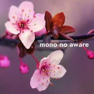3rd Foundational Dharma Talk: Mono No Aware - Embracing Impermanence