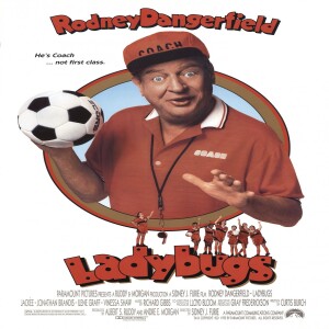 Hollywood Knockbusters| Season 4| Episode 9| Ladybugs (1992)