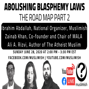 Eps 2 Abolishing Blasphemy Laws - The Road Map with Ali Rizvi
