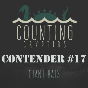 Contender #17 - Giant Bats