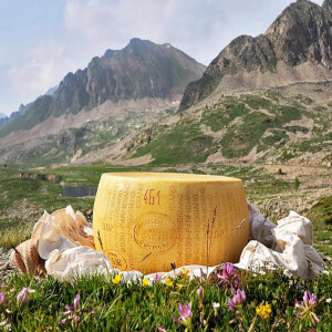 The Mystery of the Giant Parmesan Wheel-Autumn 1960