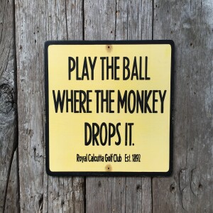 Play It where the Monkey Drops It