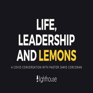 Fighting Alligators | Life, Leadership & Lemons