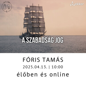 A szabadság jog