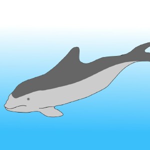 Bench Time Podcast #182: Every Episode has a Porpoise