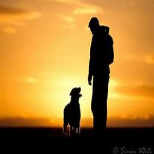 #58 The Connection:  You and Your Dog