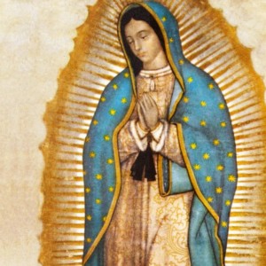 Especial Guadalupano