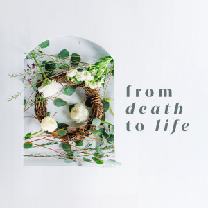 From Death to Life | Theology of the Cross Pt.2