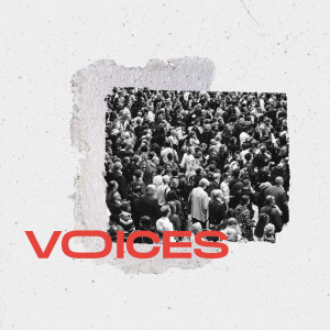 Voices | A Voice Audit
