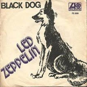 BluesyTuesday Episode 6: Celebrating Led Zeppelin's Black Dog 