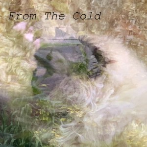 From The Cold