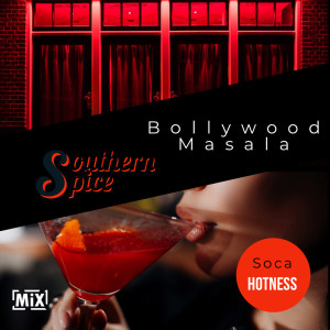 Southern Spice = Bollywood Masala + Soca Hotness // #nycmixing