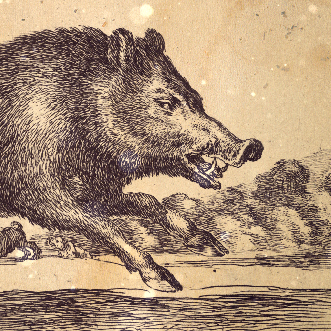 Loremen S3 Ep16 - Chris Cantrill - The Bradford Boar