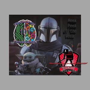 Episode 73 The Mandolorian Season 1 Fan- Review