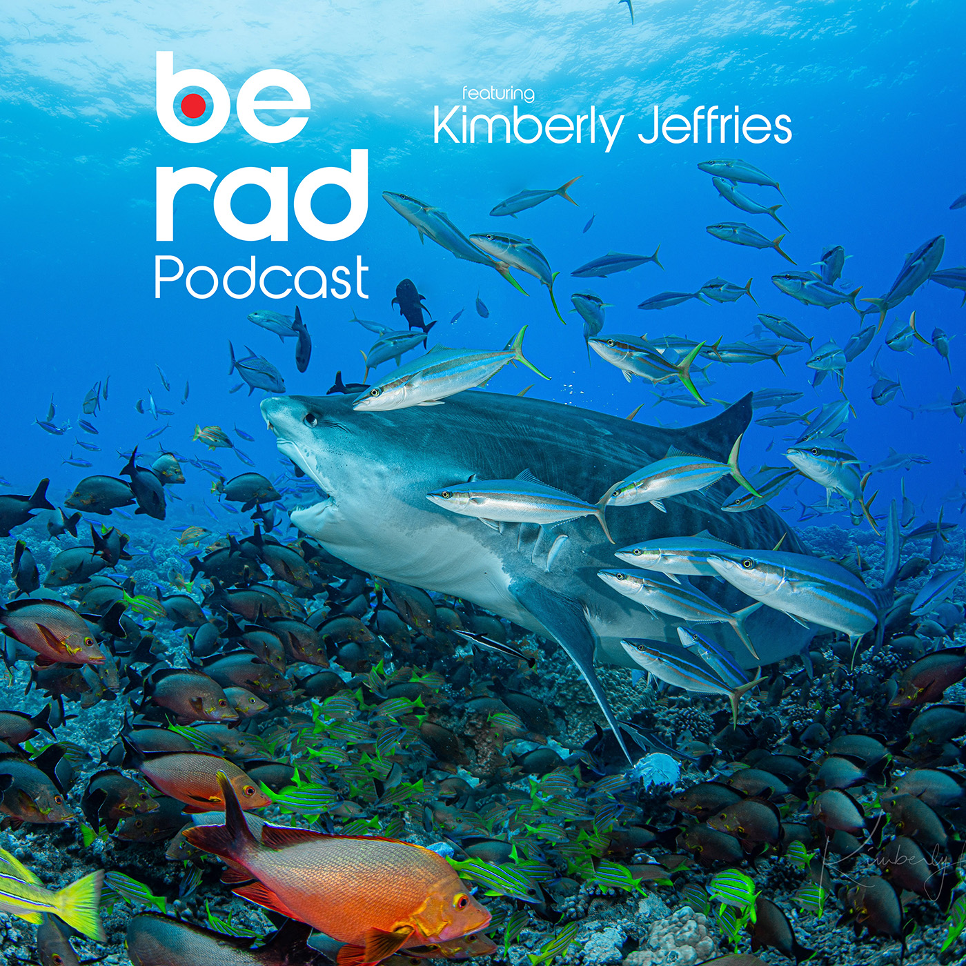 Berad Podcast