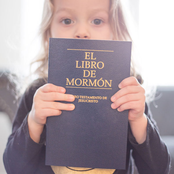 The Scripture Study Project