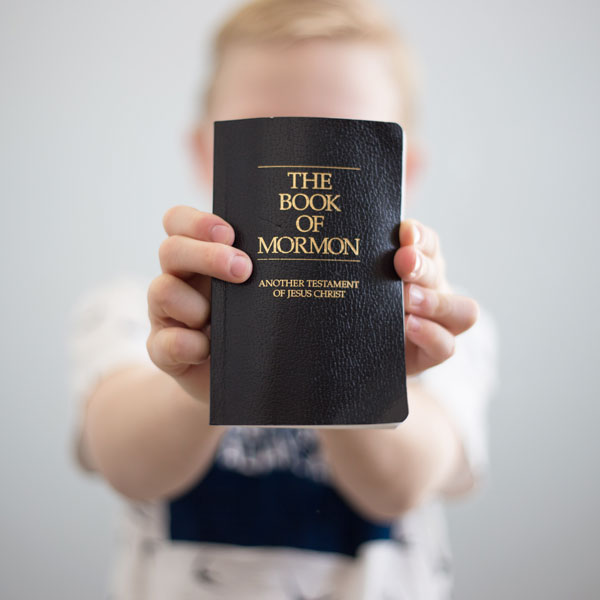 The Scripture Study Project