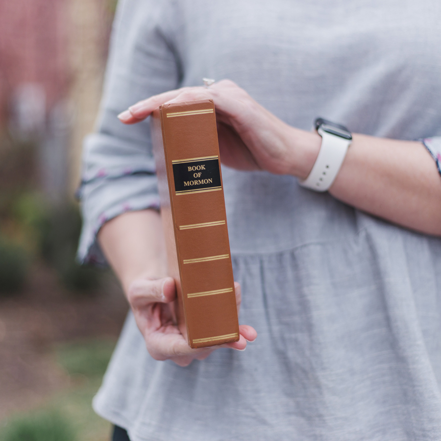 The Scripture Study Project