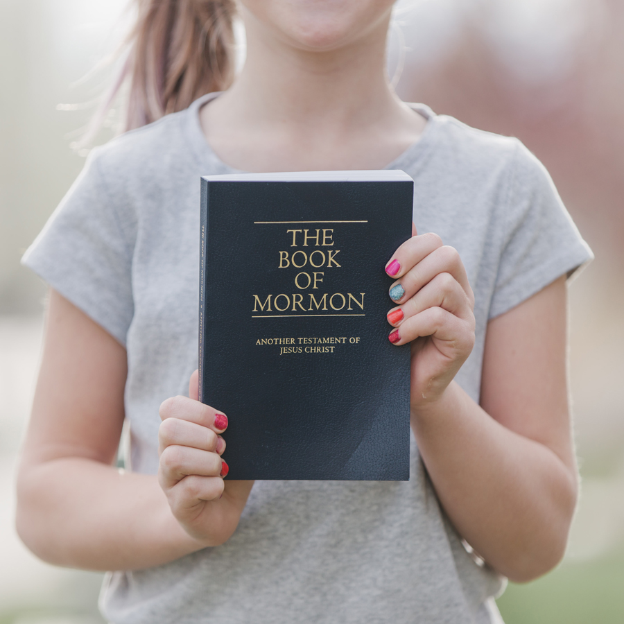 The Scripture Study Project