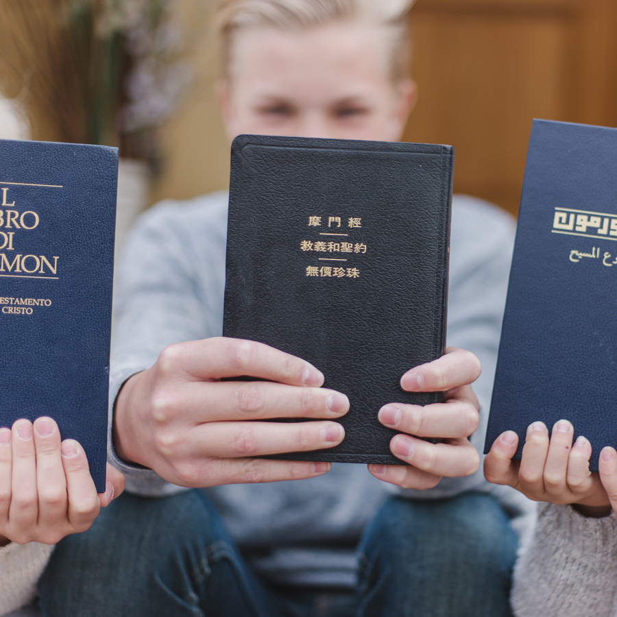The Scripture Study Project