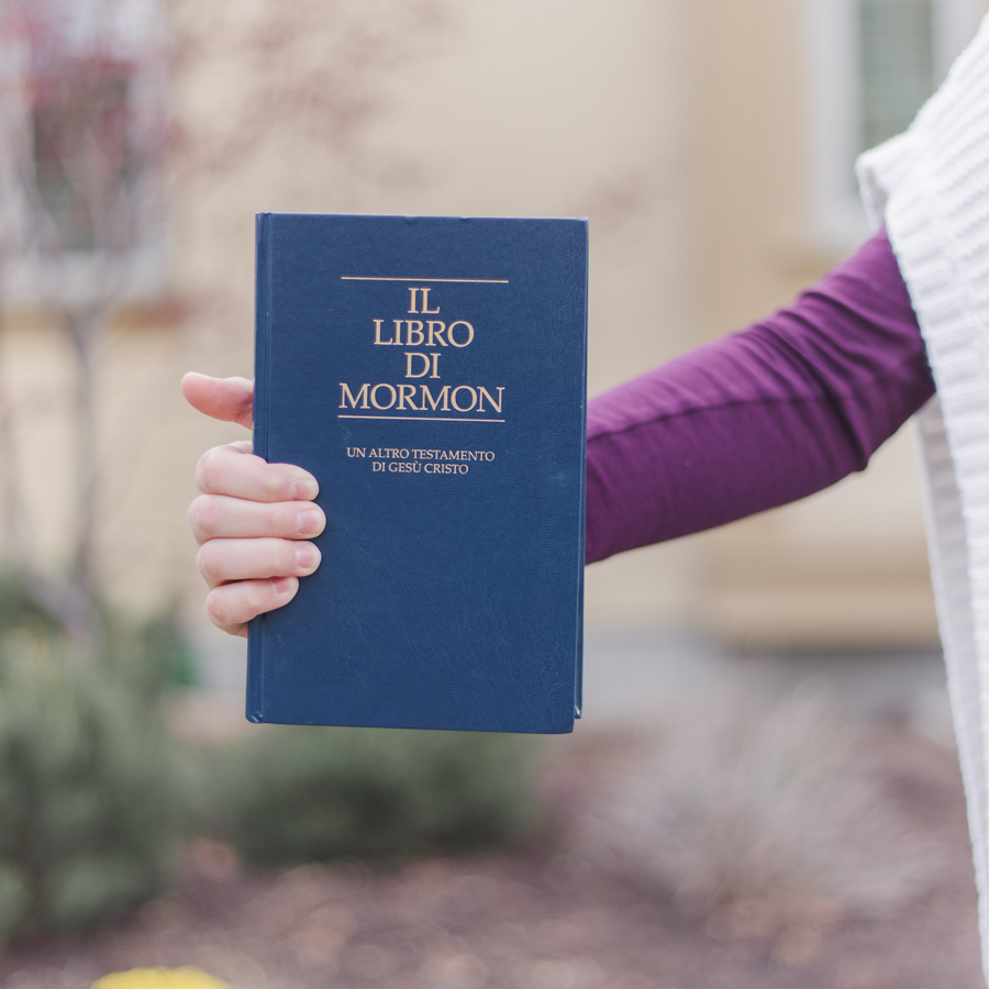 The Scripture Study Project