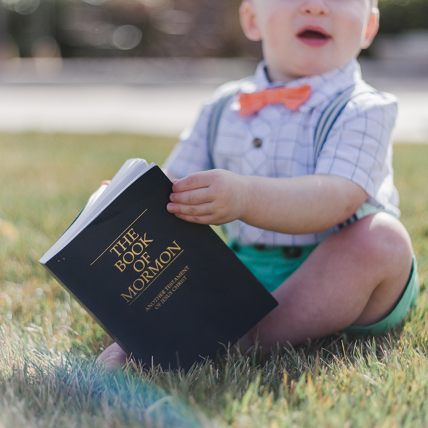 The Scripture Study Project