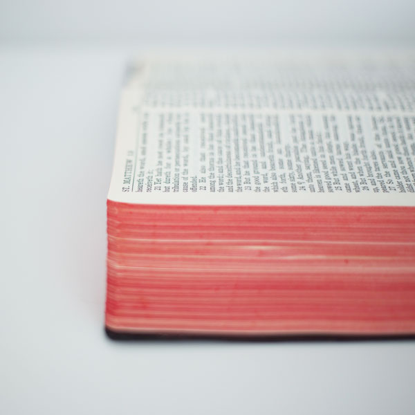 The Scripture Study Project
