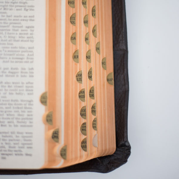 The Scripture Study Project
