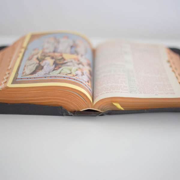 The Scripture Study Project
