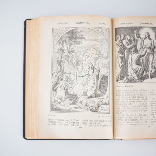The Scripture Study Project