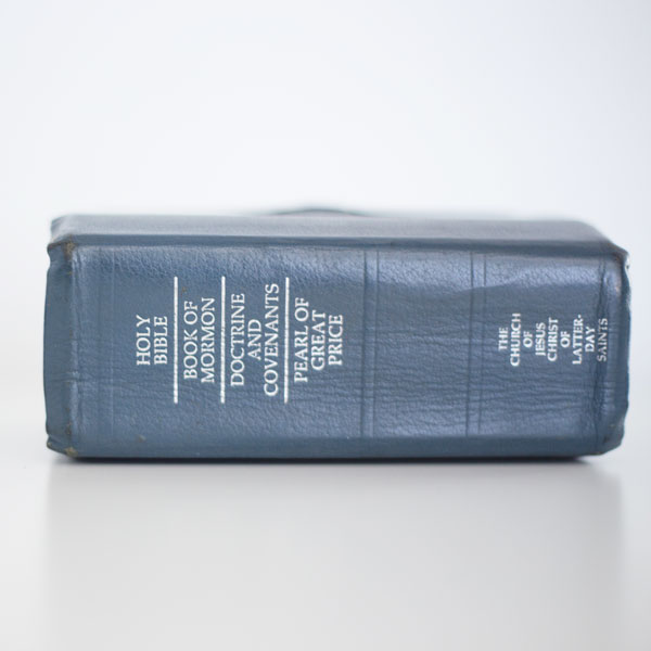 The Scripture Study Project
