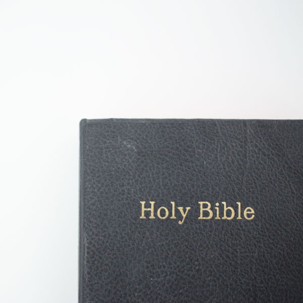 The Scripture Study Project
