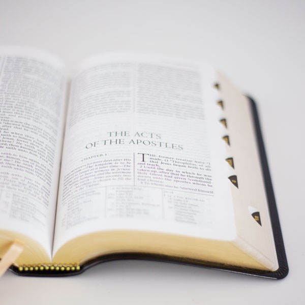 The Scripture Study Project