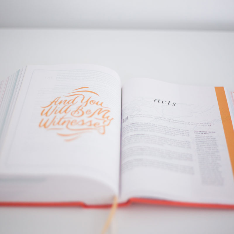 The Scripture Study Project