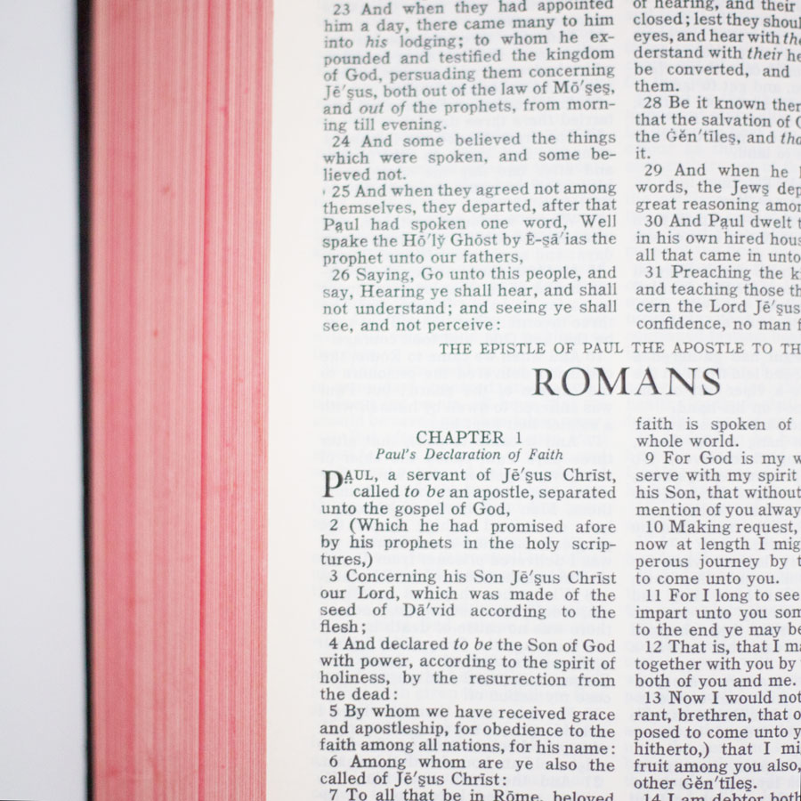The Scripture Study Project