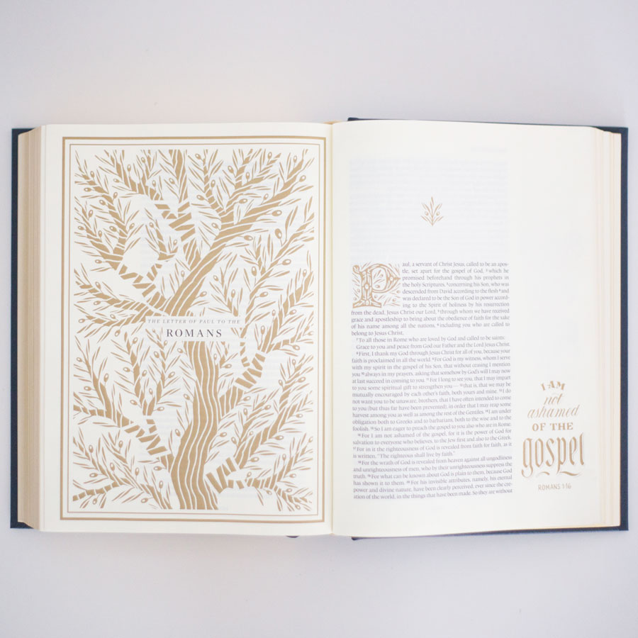 The Scripture Study Project