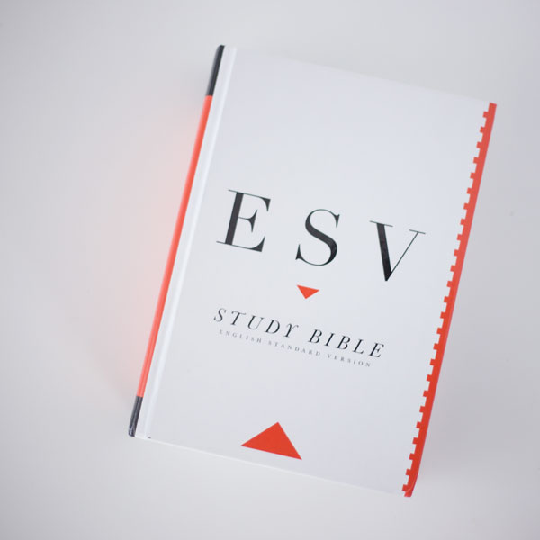 The Scripture Study Project