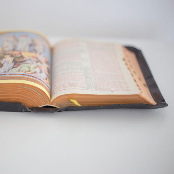 The Scripture Study Project