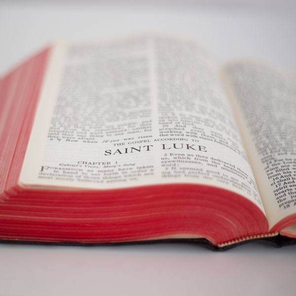 The Scripture Study Project